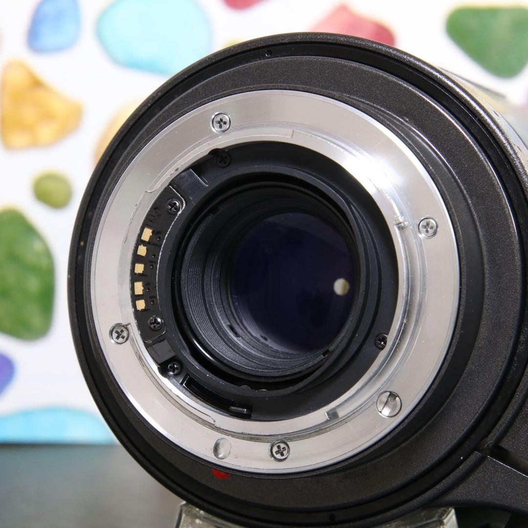 ♥︎◇400mm 望遠レンズ♪ ◇TAMRON 200-400ｍｍ SONY