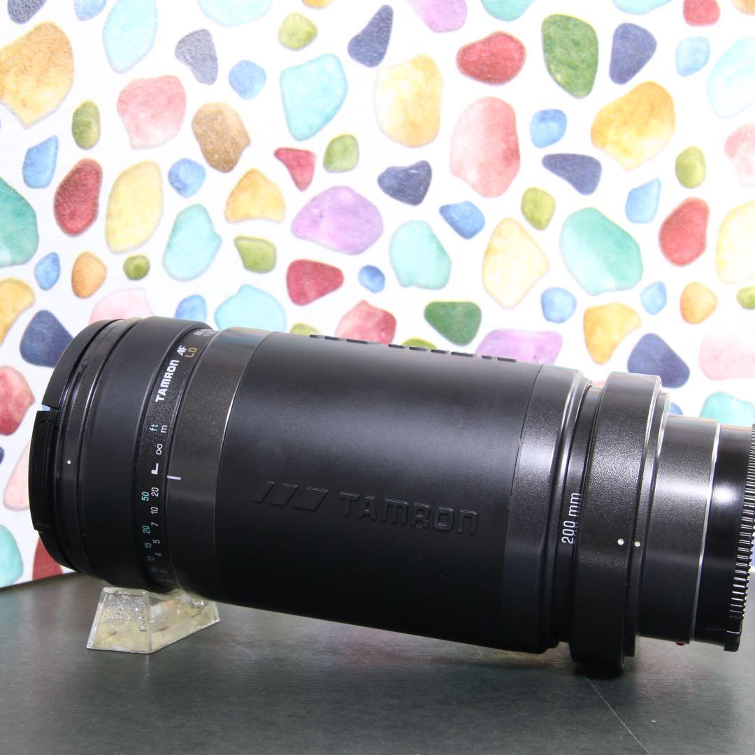 ♥︎◇400mm 望遠レンズ♪ ◇TAMRON 200-400ｍｍ SONY