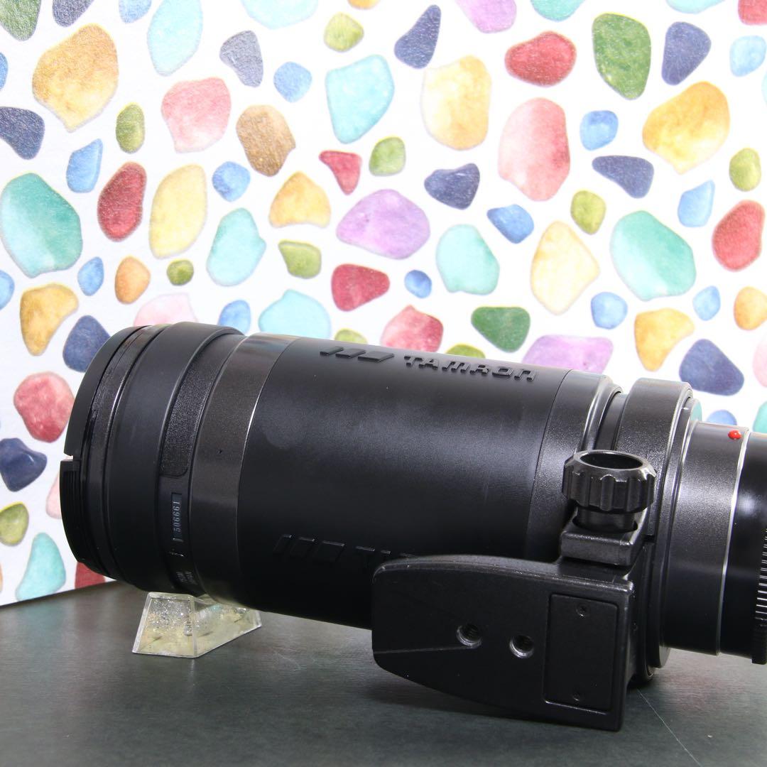 ♥︎◇400mm 望遠レンズ♪ ◇TAMRON 200-400ｍｍ SONY