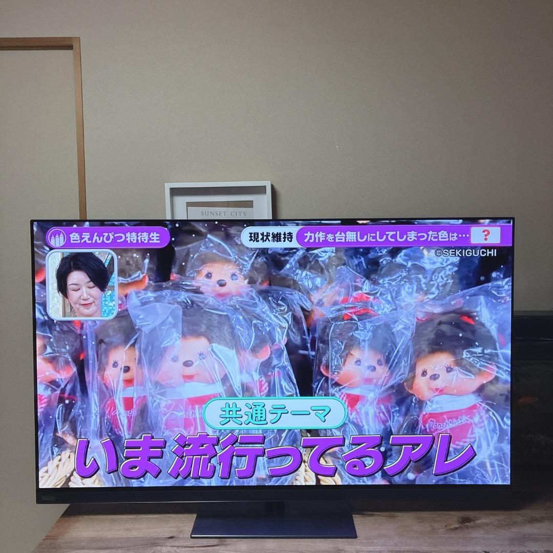 【お値下げOK】美品 REGZA 55型 有機EL 55X9900N 4K
