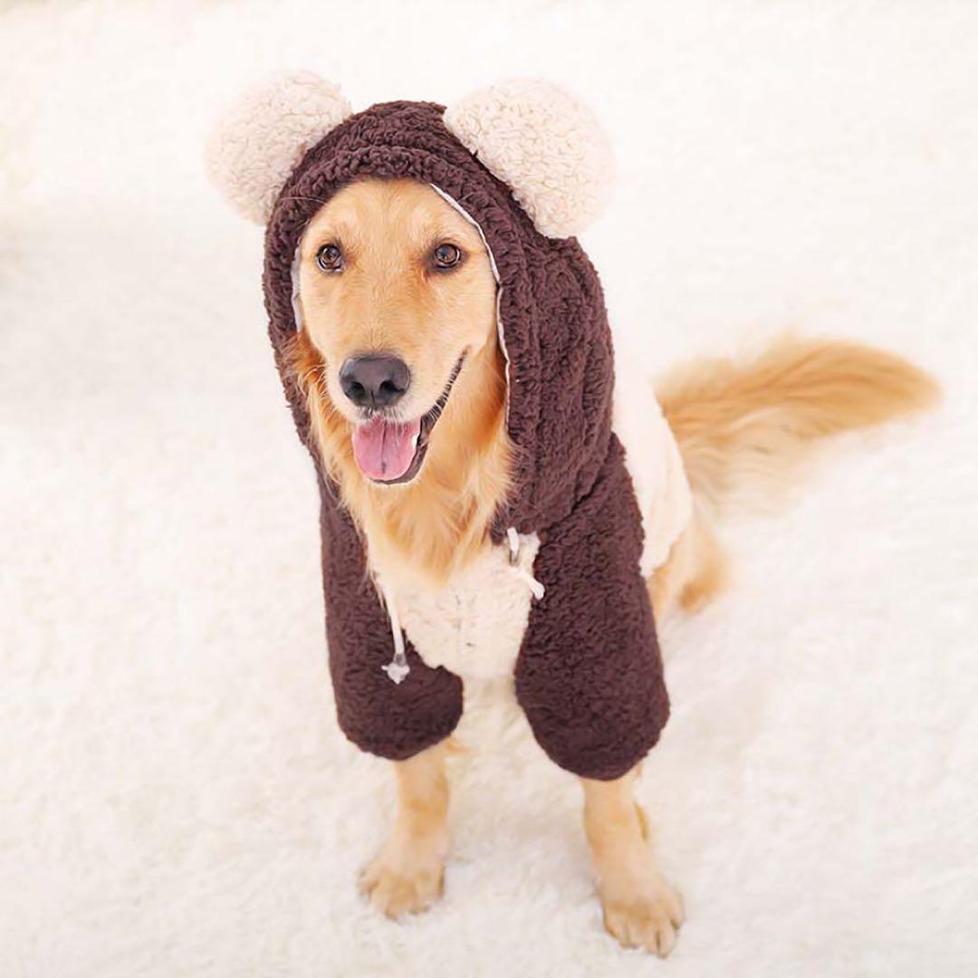 ペット犬服 冬用 柴犬 秋田犬 中型 大型犬用 綿服 スウェット 帽子付　6XL