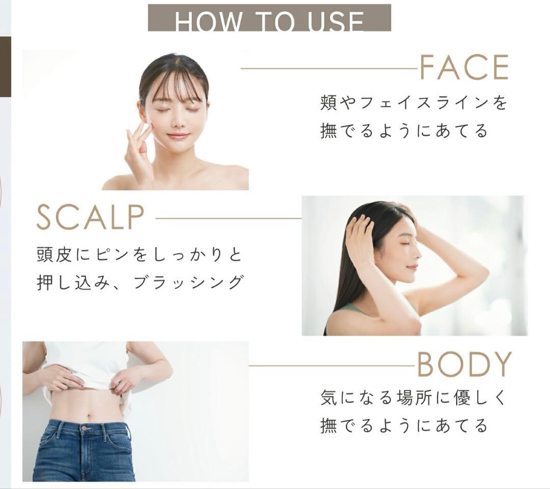 ボディ・フェイスケア SALONIA EMS LIFT BRUSH SAL22206SL