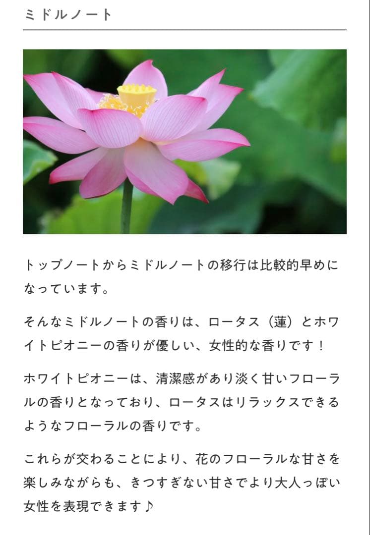 BVLGARI オムニアクリスタリン40ml箱あり