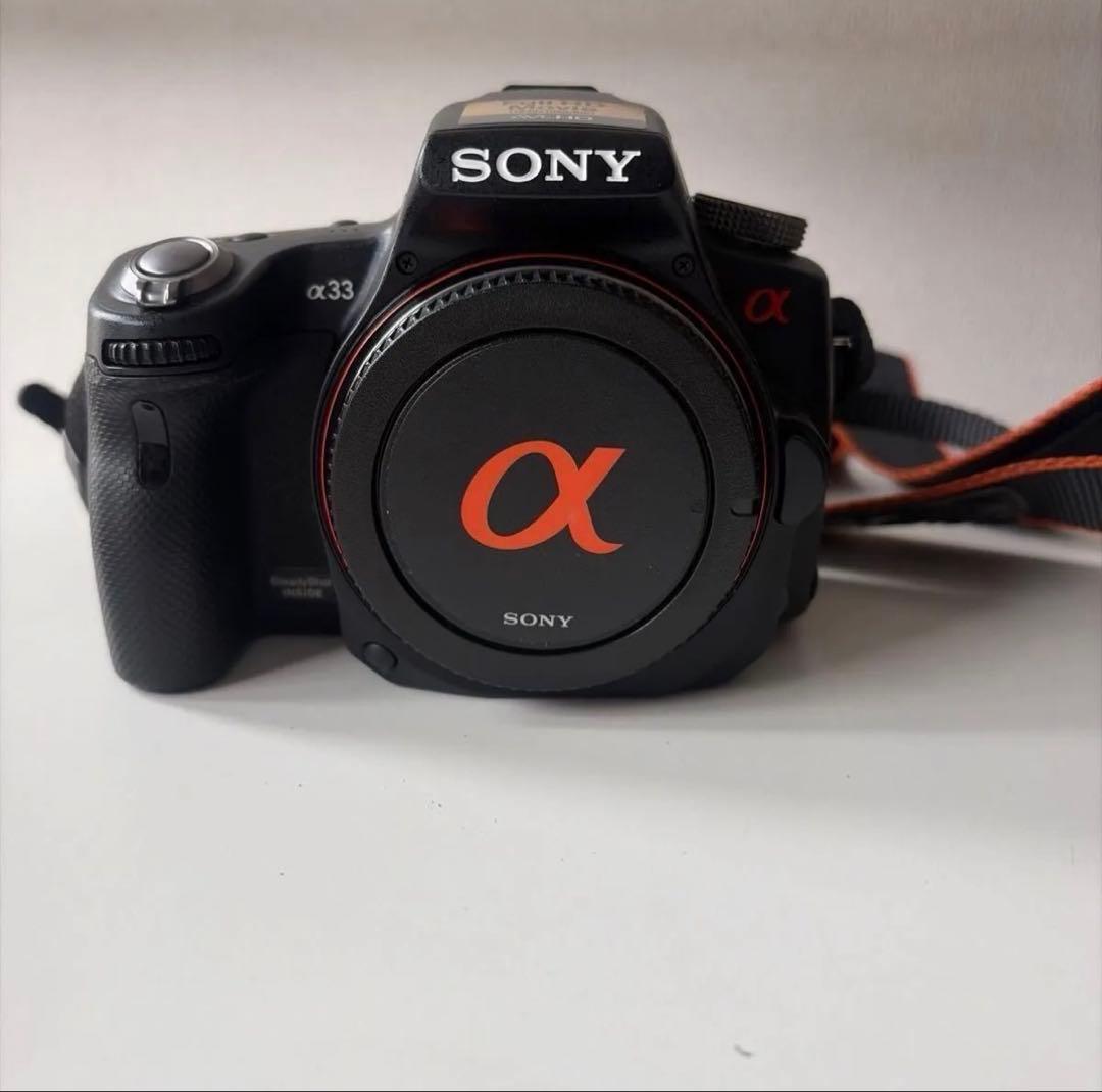 SONY α33 ボディ＋Minolta 24-105mm 標準ズームセット
