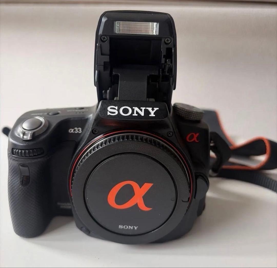 SONY α33 ボディ＋Minolta 24-105mm 標準ズームセット