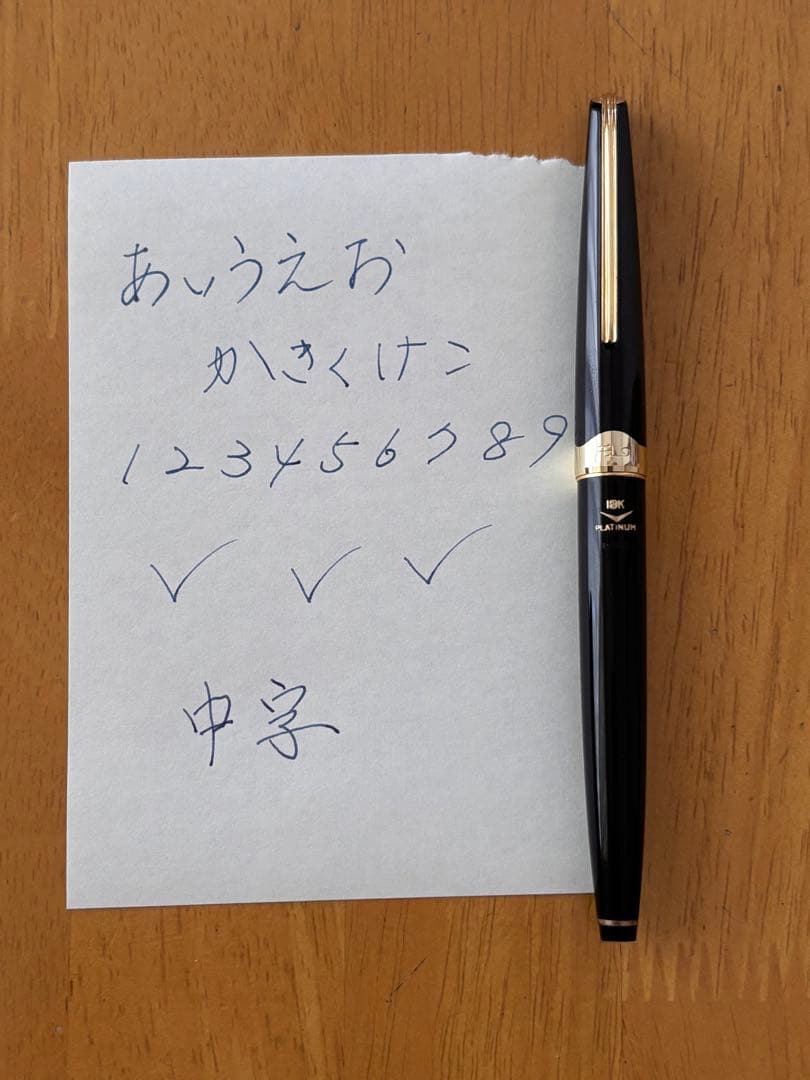 PLATINUM 万年筆 P-300 ペン先18K