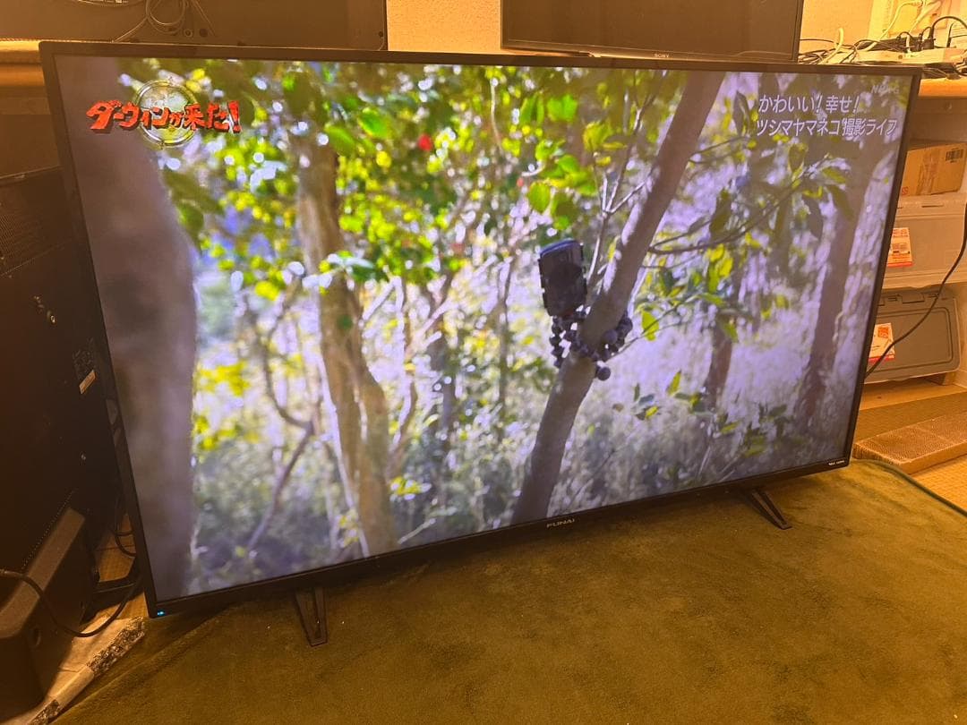 funai　フナイ　50型 テレビ FL-50U3010　19年製　4K対応！
