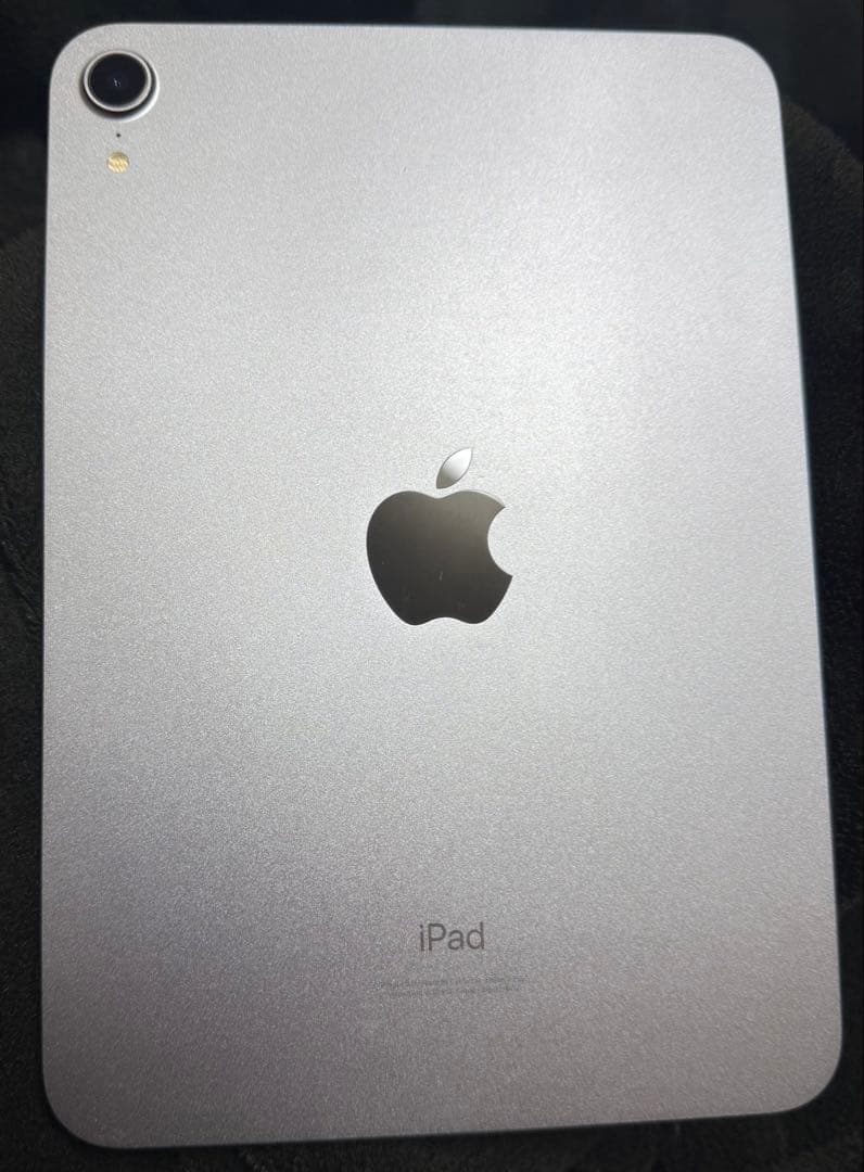 ipadmini 第6世代 256gb パープル