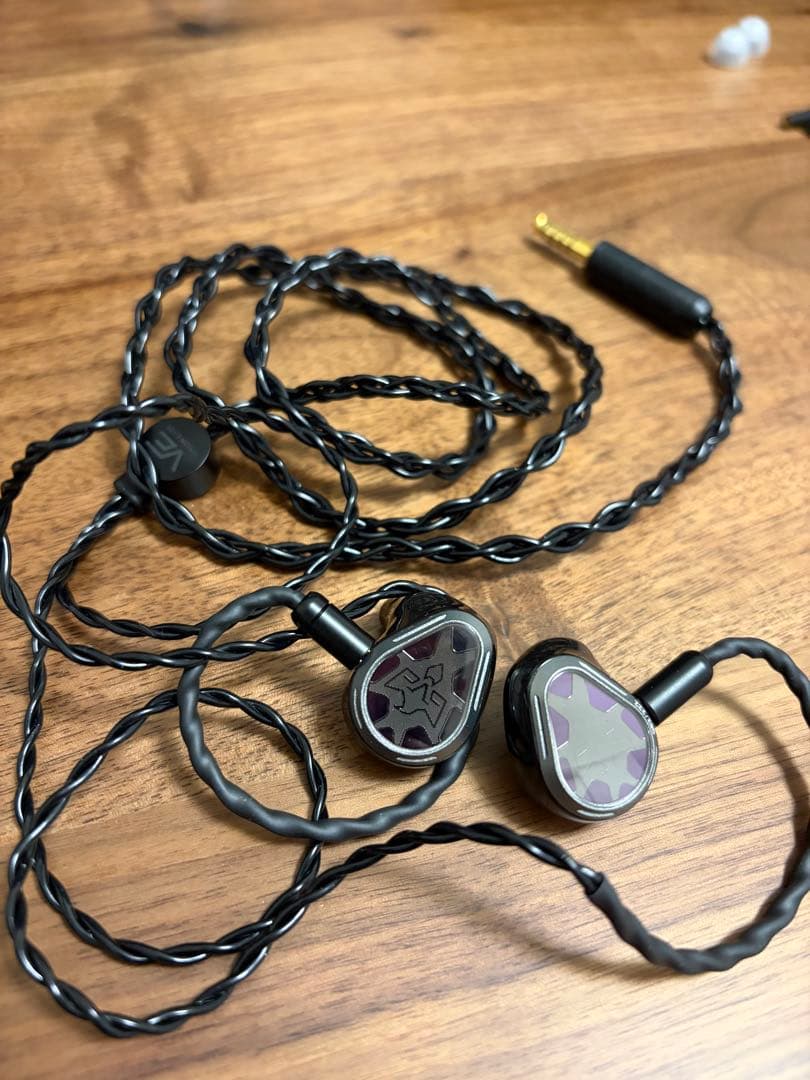VISION EARS PHÖNIX Limited Edition 美品