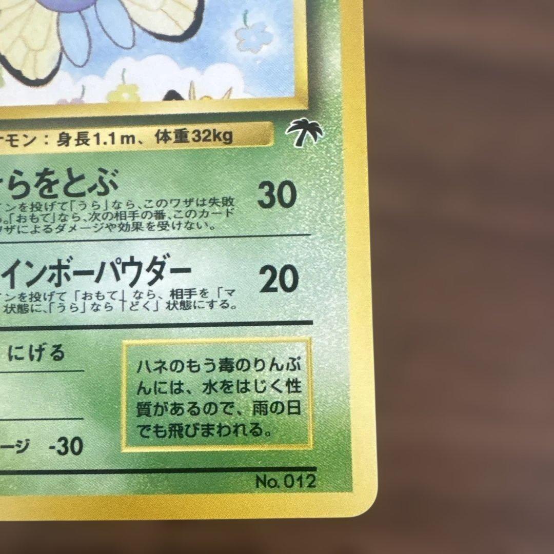 サザンアイランド　お花畑　旧裏ポケモンカード　ポストカードなし