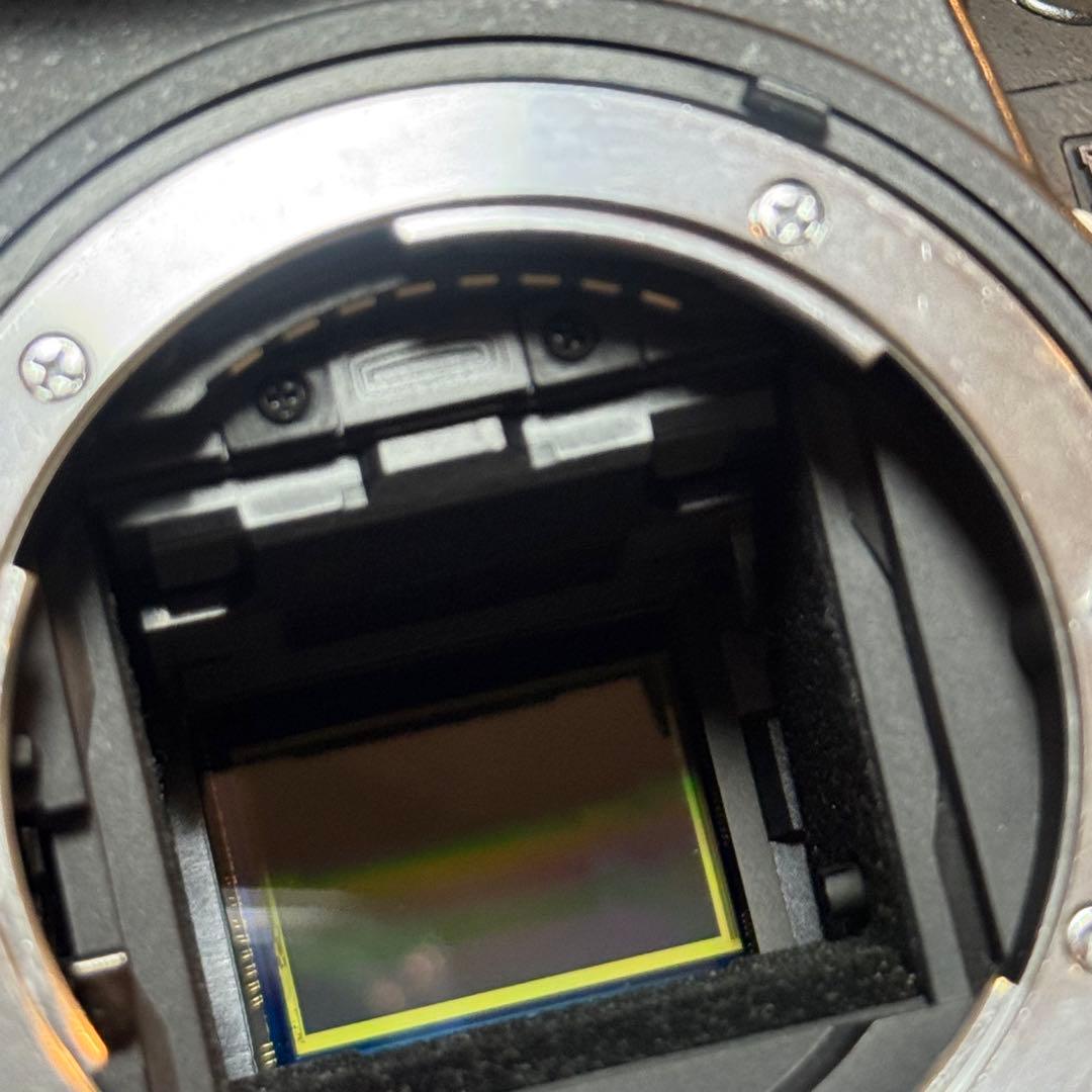 Nikon D7000 天体改造機　赤外線改造機　ストラップつき