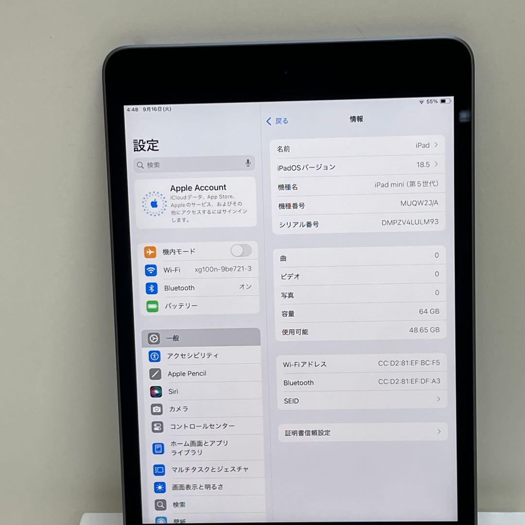 iPad Mini 第5世代 64GB Wi-Fi 100%