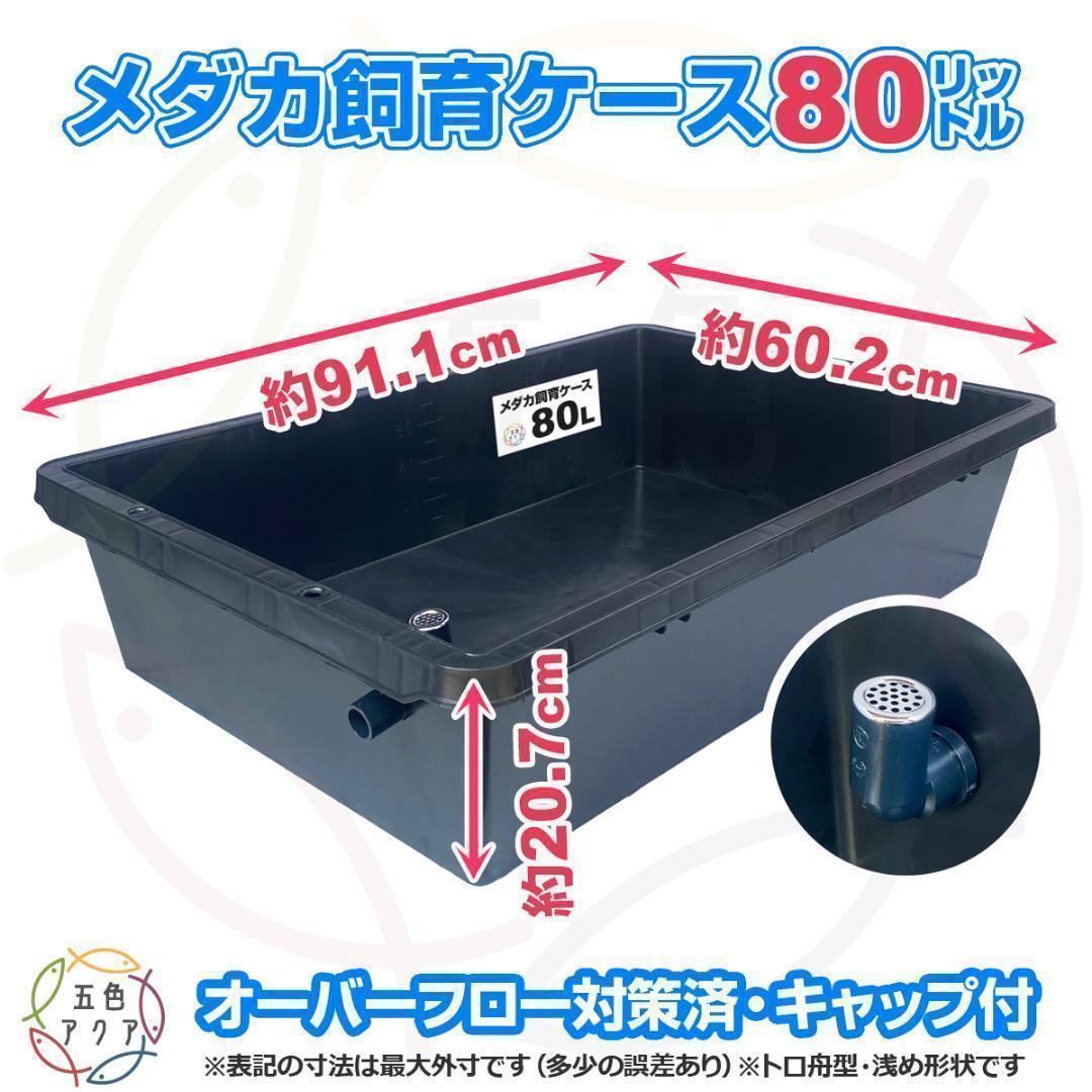 【4月値上予定】メダカ飼育ケース 80㍑黒x3個 トロ舟 オーバーフロー 金魚