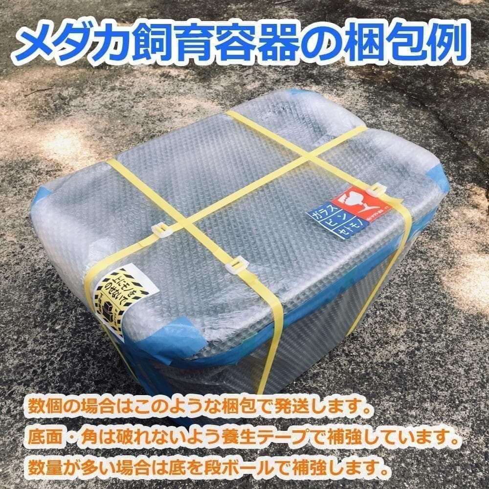 【4月値上予定】メダカ飼育ケース 80㍑黒x3個 トロ舟 オーバーフロー 金魚