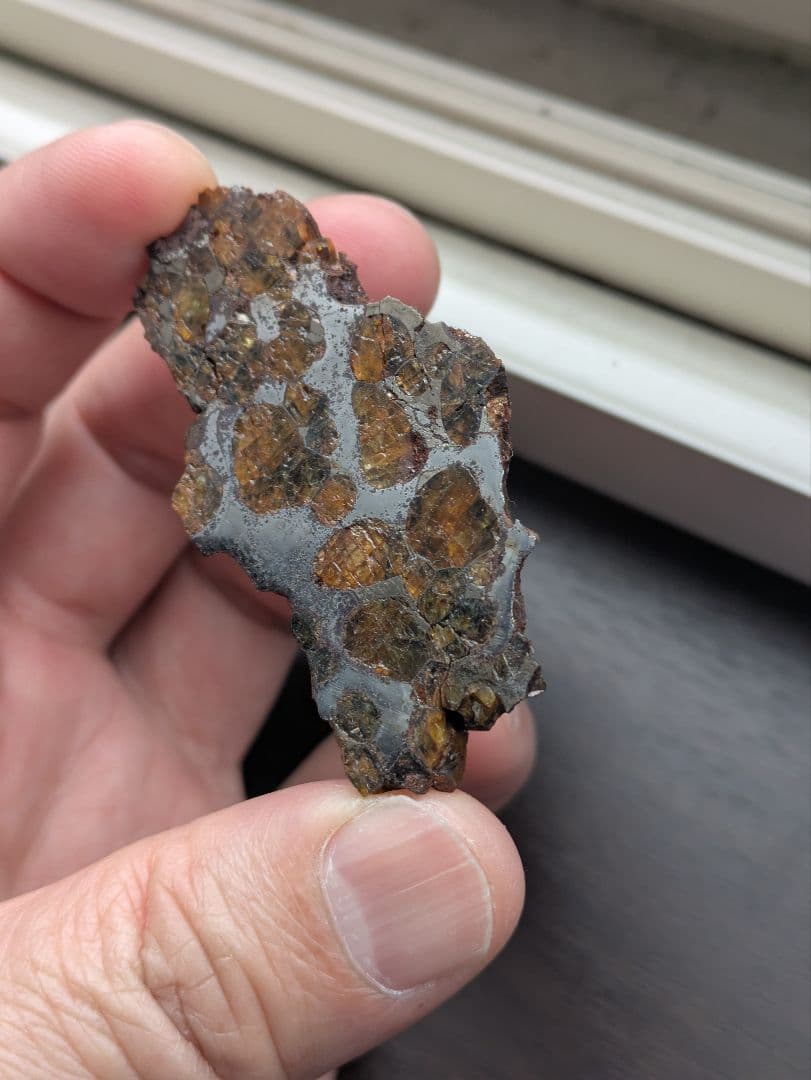 ブレナム隕石 (Brenham Pallasite)