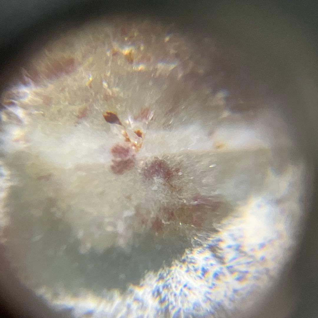 朱砂天珠 レア　ネックレス 星辰宝瓶蓮花天珠