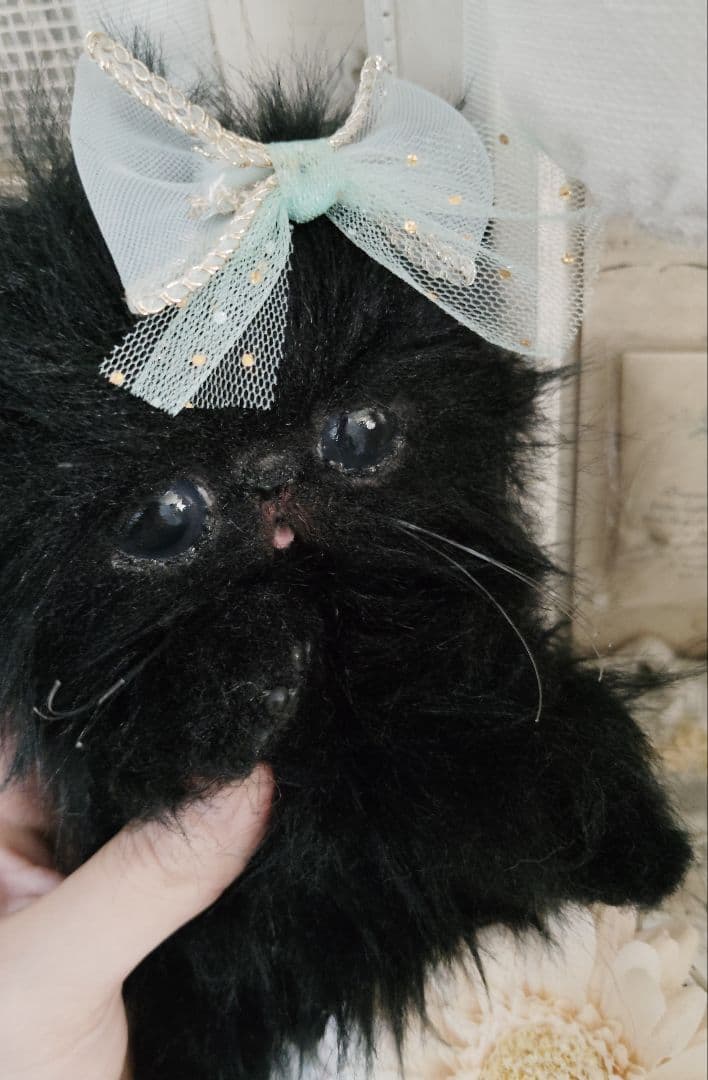 エキゾチック子猫ちゃん♡黒猫ジジちゃん♡アートドール♡ぬいぐるみ♡