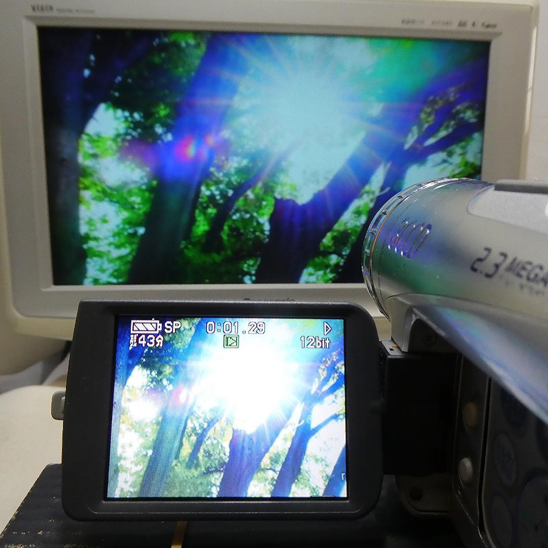 パナソニック NV-GS200 動作良好 MiniDVビデオDVDダビングに最適