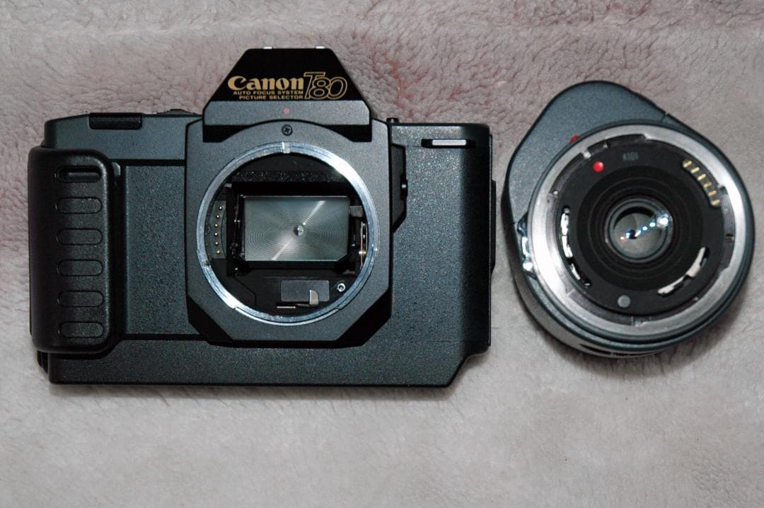 Canon T80 フィルム一眼レフカメラ、動作品
