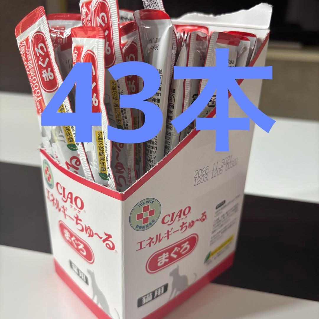 CIAO エネルギーちゅ〜る動物病院専用 セット