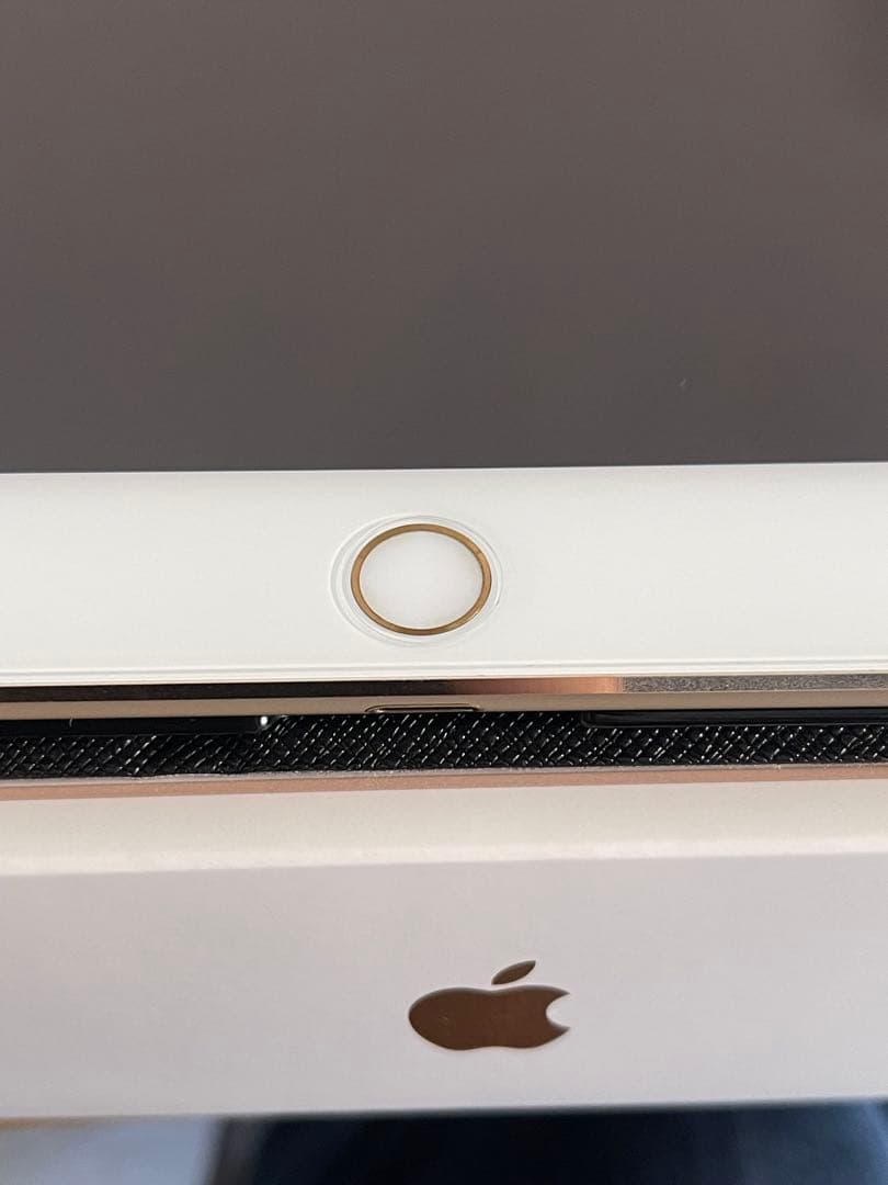 【画質めっちゃキレイ！】iPadPro 12.9 256GB
