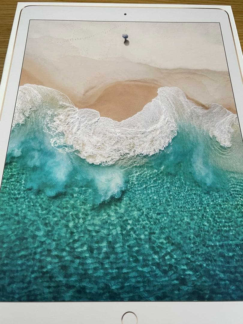 【画質めっちゃキレイ！】iPadPro 12.9 256GB