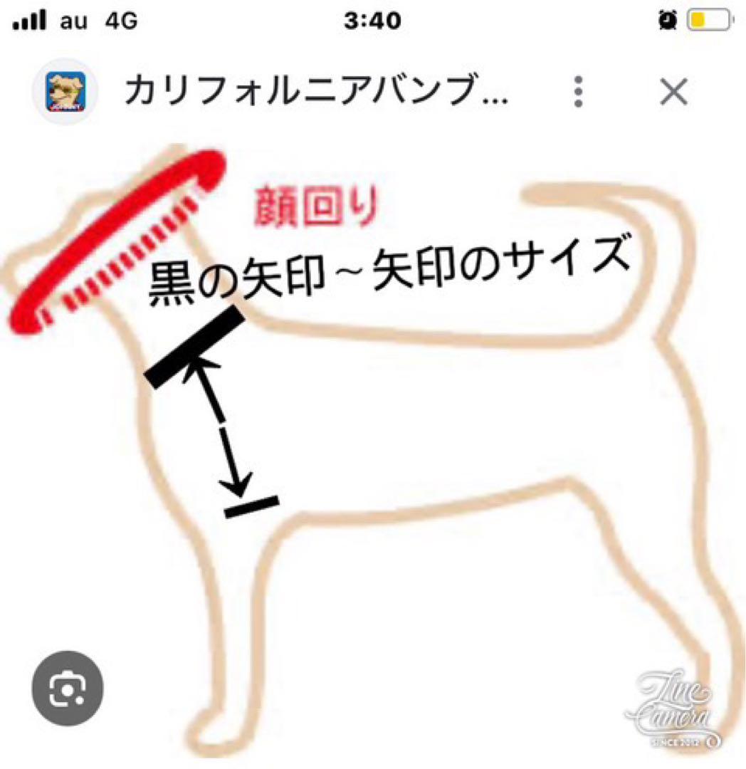 B419.pon2pan2☆オーダー☆犬着物☆犬2ウェイ着物☆犬お引き摺り着物