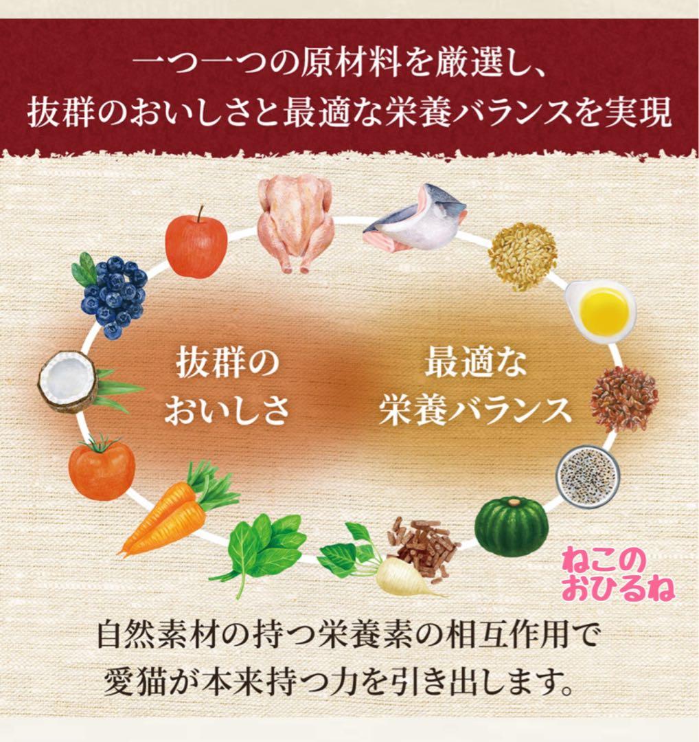 ニュートロ　シュプレモ　成猫用 　チキン&サーモン/白身魚&チキン　3kg×２袋