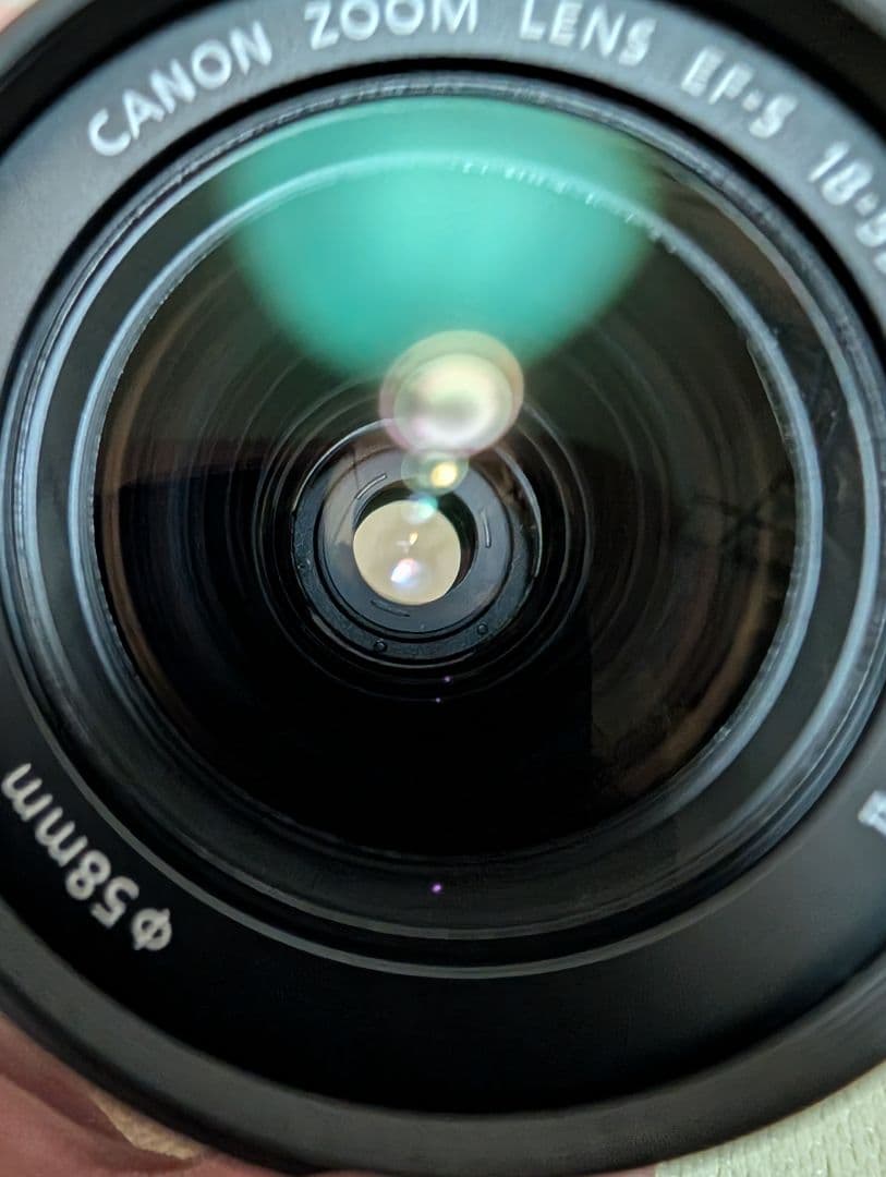 Canon EOS Kiss X5 ダブルズーム＋270EXII