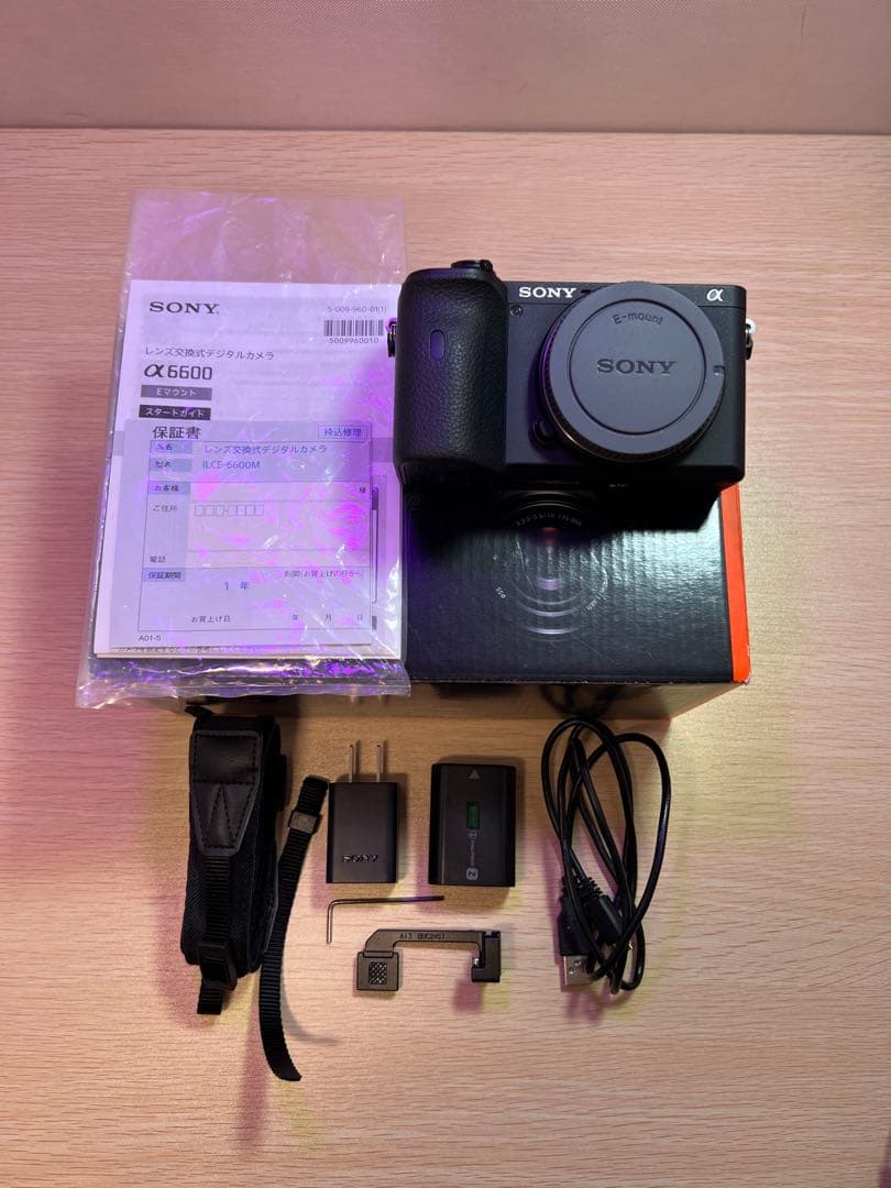 SONY α6600 ミラーレス一眼 ボディのみ 美品