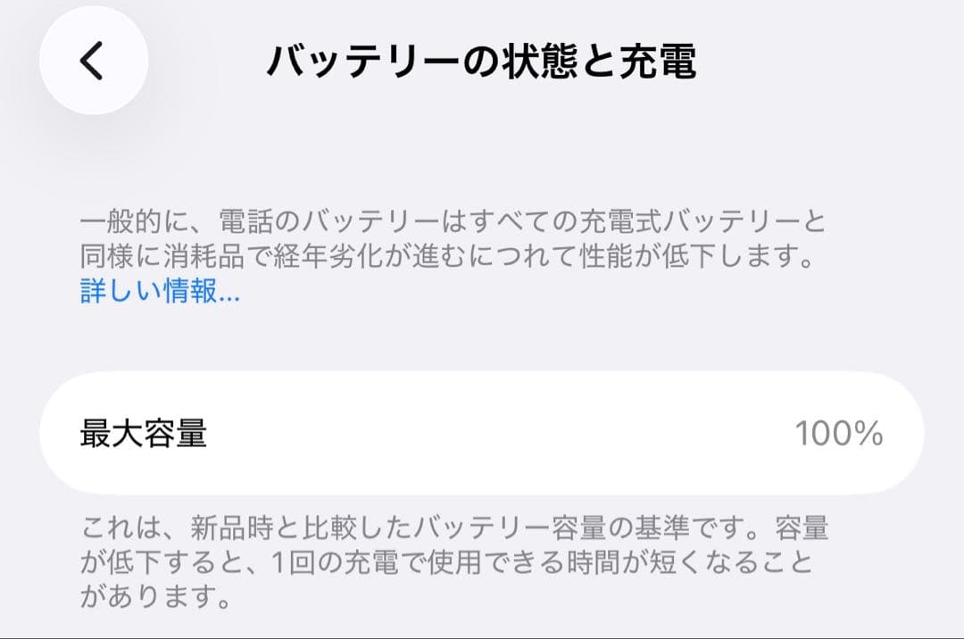 【バッテリー100%】iPhone 13 Pro 256GB シエラブルー