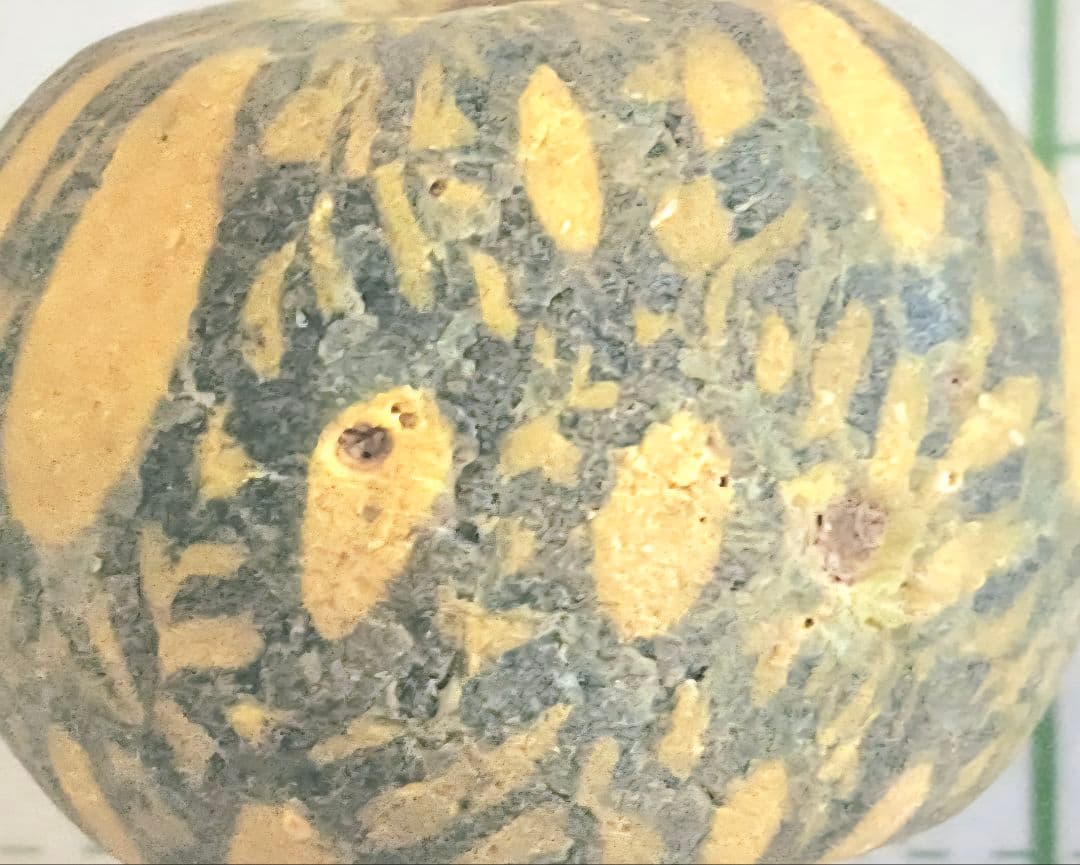 アンティーク ジャワ玉　野菜模様