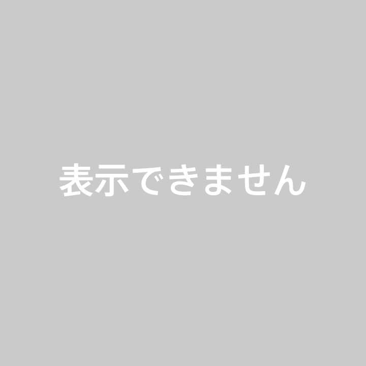 【アップグレード版】新品 化学反応式 co2ジェネレーター 1L完全セット