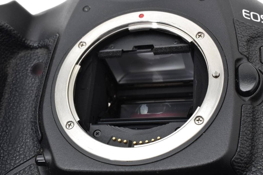 キヤノン Canon EOS-1D Mark III デジタル一眼レフボディ