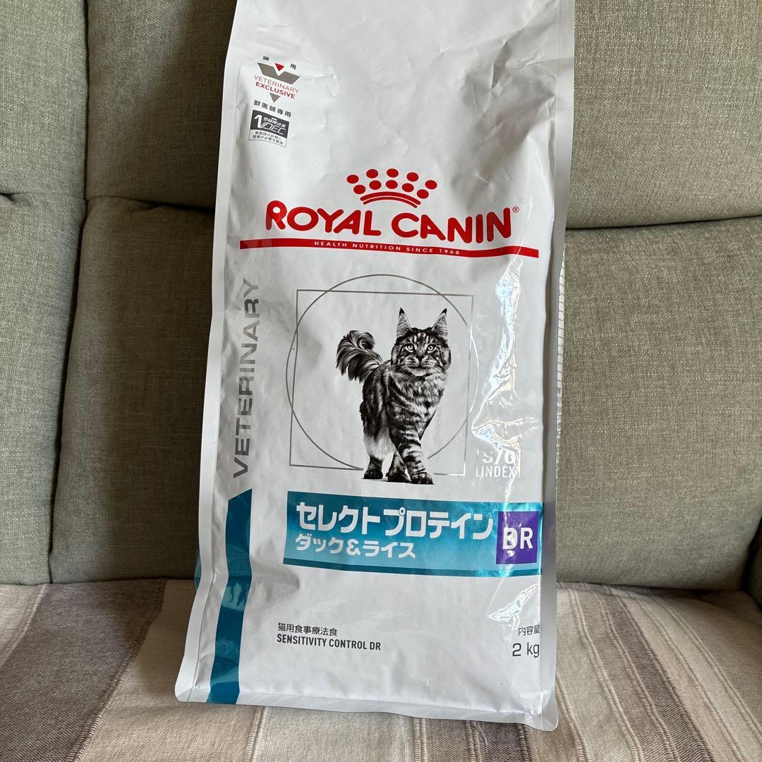 セレクトプロテイン タック&ライス 2kg + パウチ3個　ロイヤルカナン