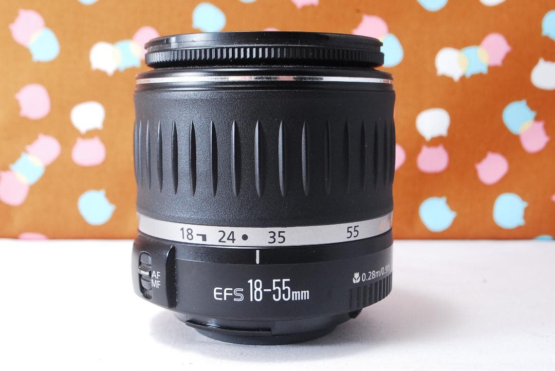 ✨シャッター数3039回✨初心者おすすめ✨Canon 50D レンズセット