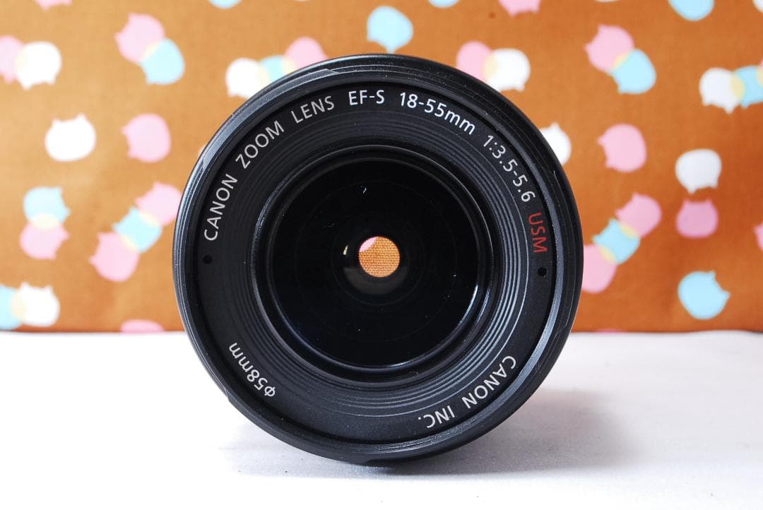 ✨シャッター数3039回✨初心者おすすめ✨Canon 50D レンズセット
