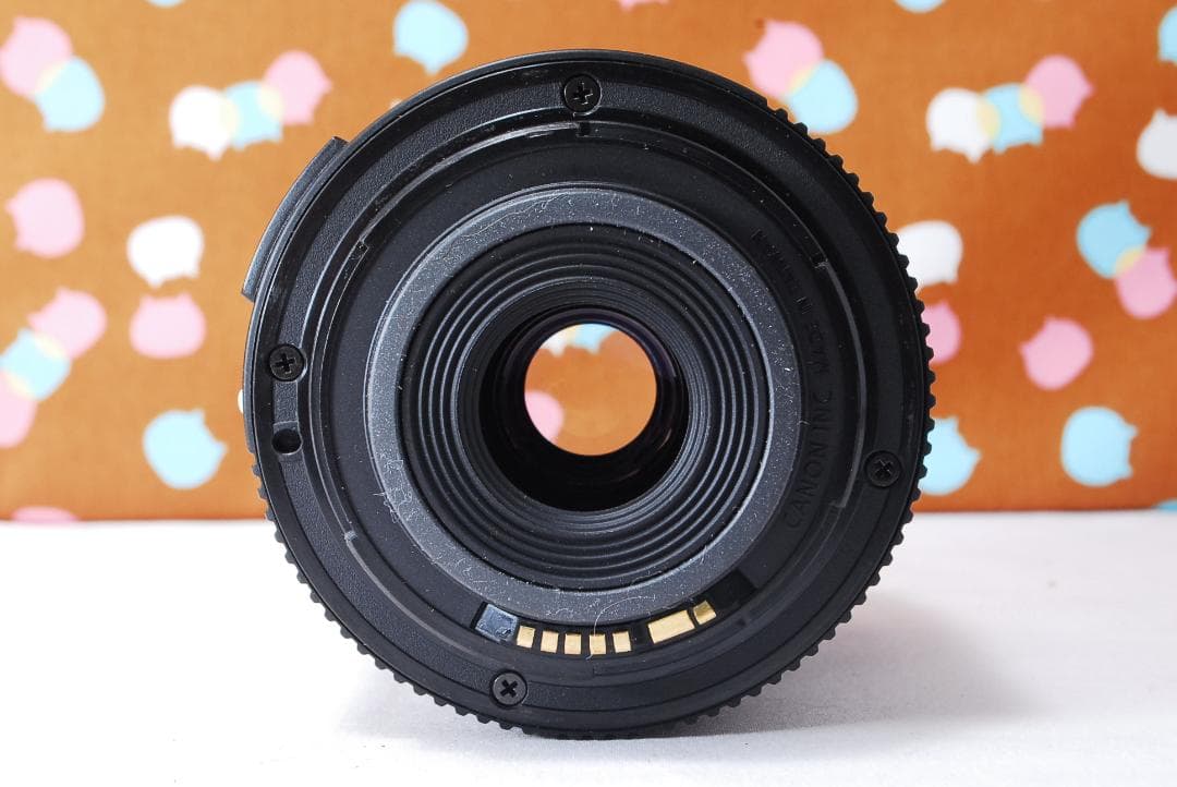 ✨シャッター数3039回✨初心者おすすめ✨Canon 50D レンズセット