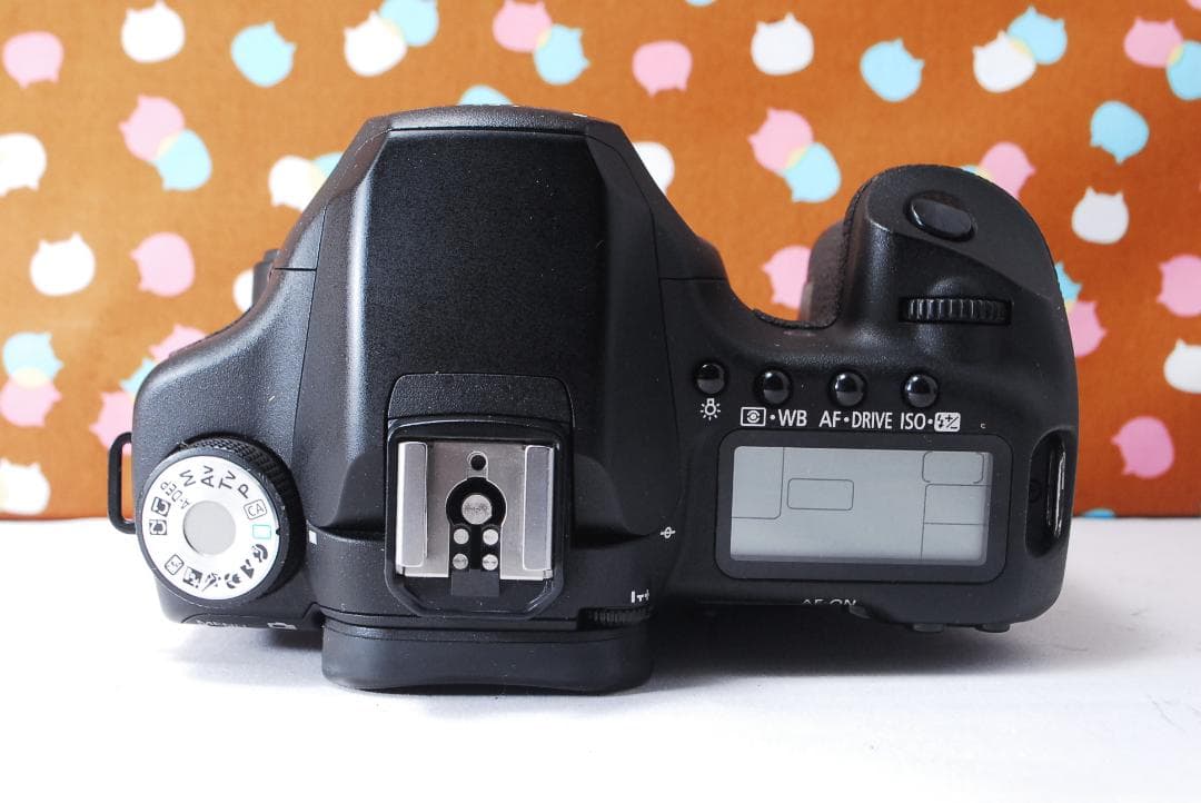 ✨シャッター数3039回✨初心者おすすめ✨Canon 50D レンズセット