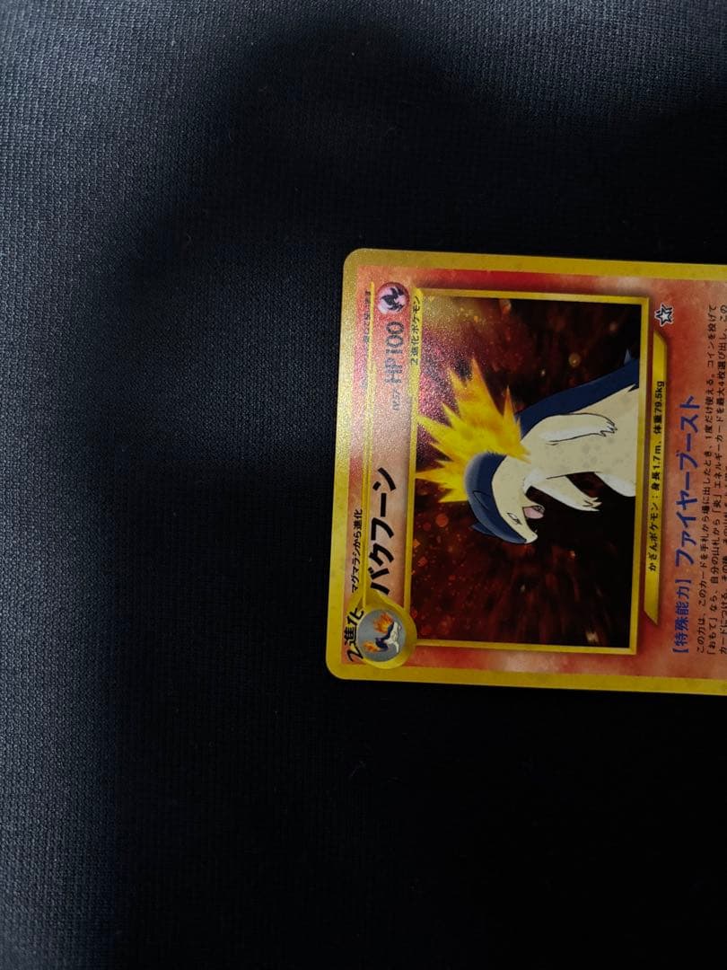 ポケモンカード neoプレミアムファイル 御三家 旧裏