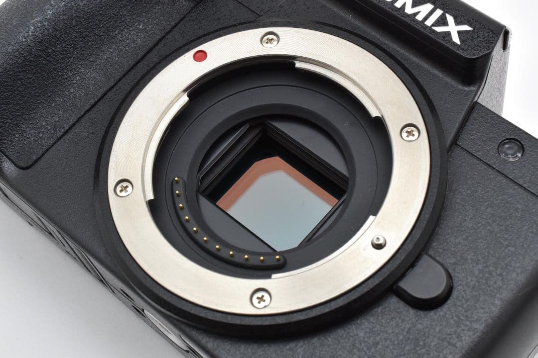 Panasonic LUMIX DC-G100V トライポッドグリップ付き