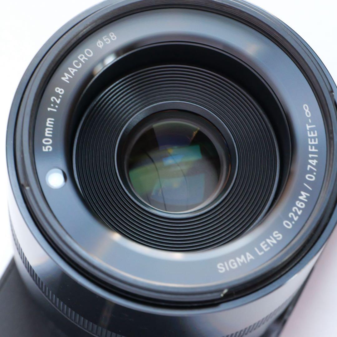 元箱付き SIGMA シグマ dp3 Quattro