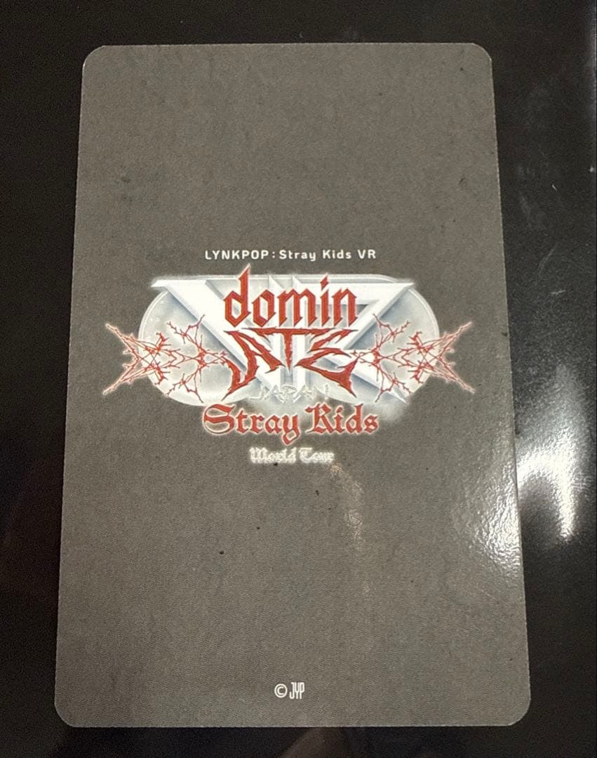 StraykidsスキズVR会場限定特典トレカhanハン入場特典dominATE