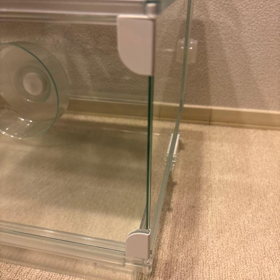 グラスハーモニー　600