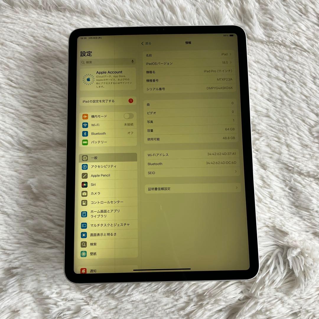 【1台限定特別価格】iPad Pro 11インチ 第1世代64GB 【すぐ発送】