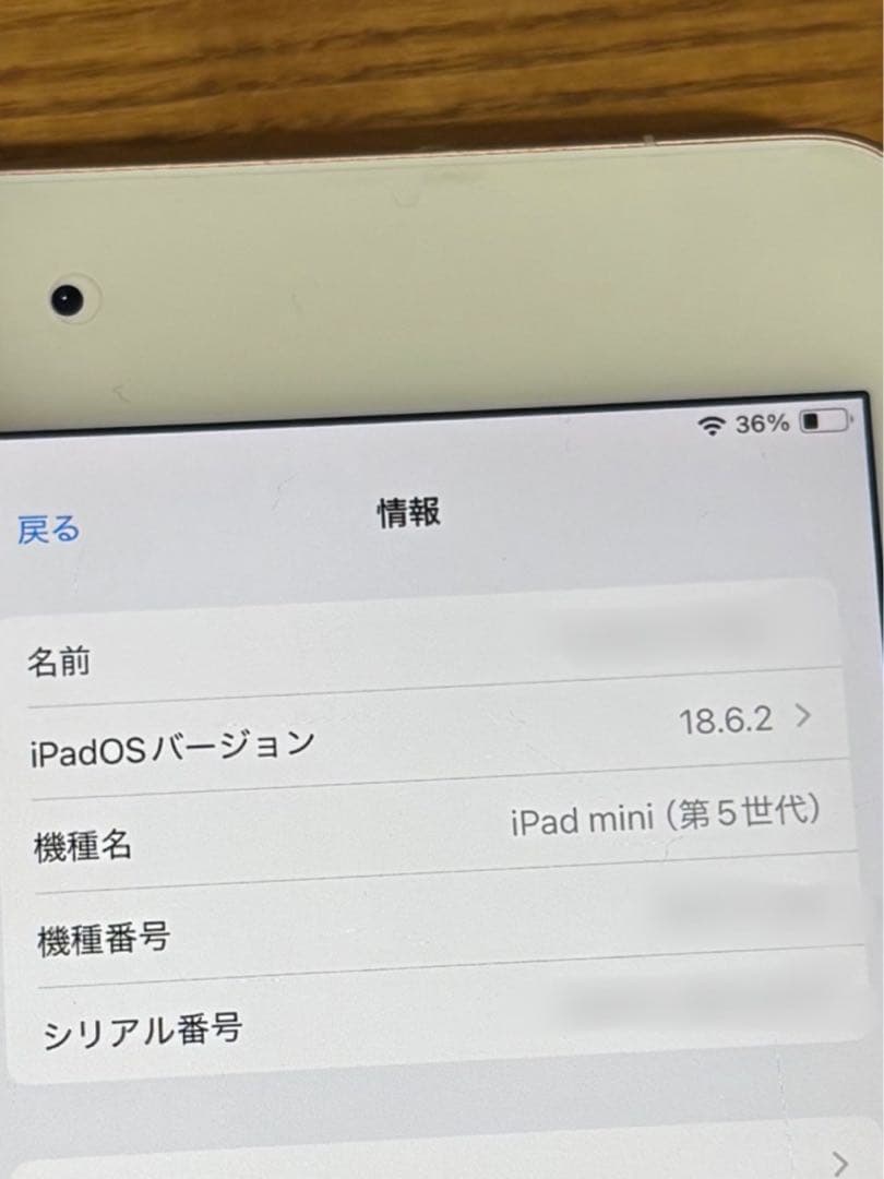 iPad本体 Apple iPad mini 5 cellular 64GB