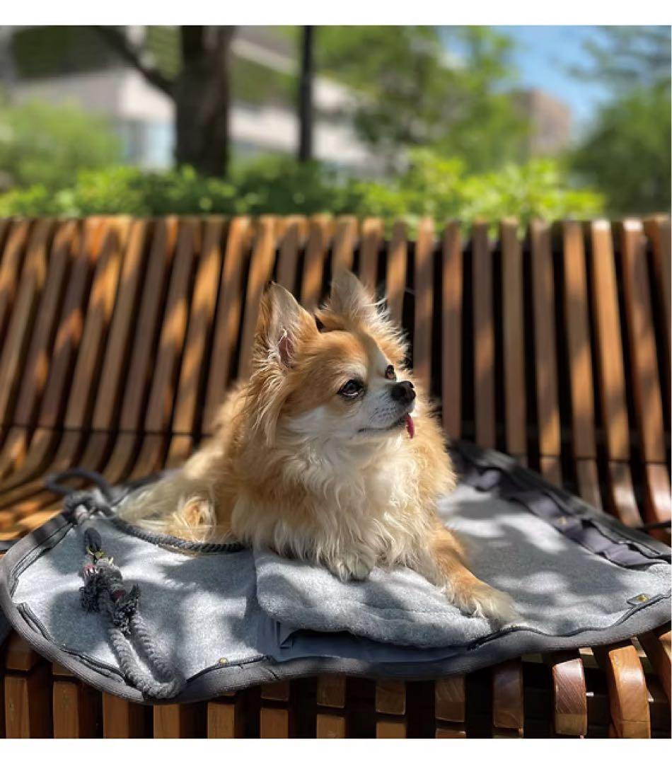犬キャリーバッグ ❤︎THE BESS / お抱えバッグ / Mサイズ ❤︎【新品】