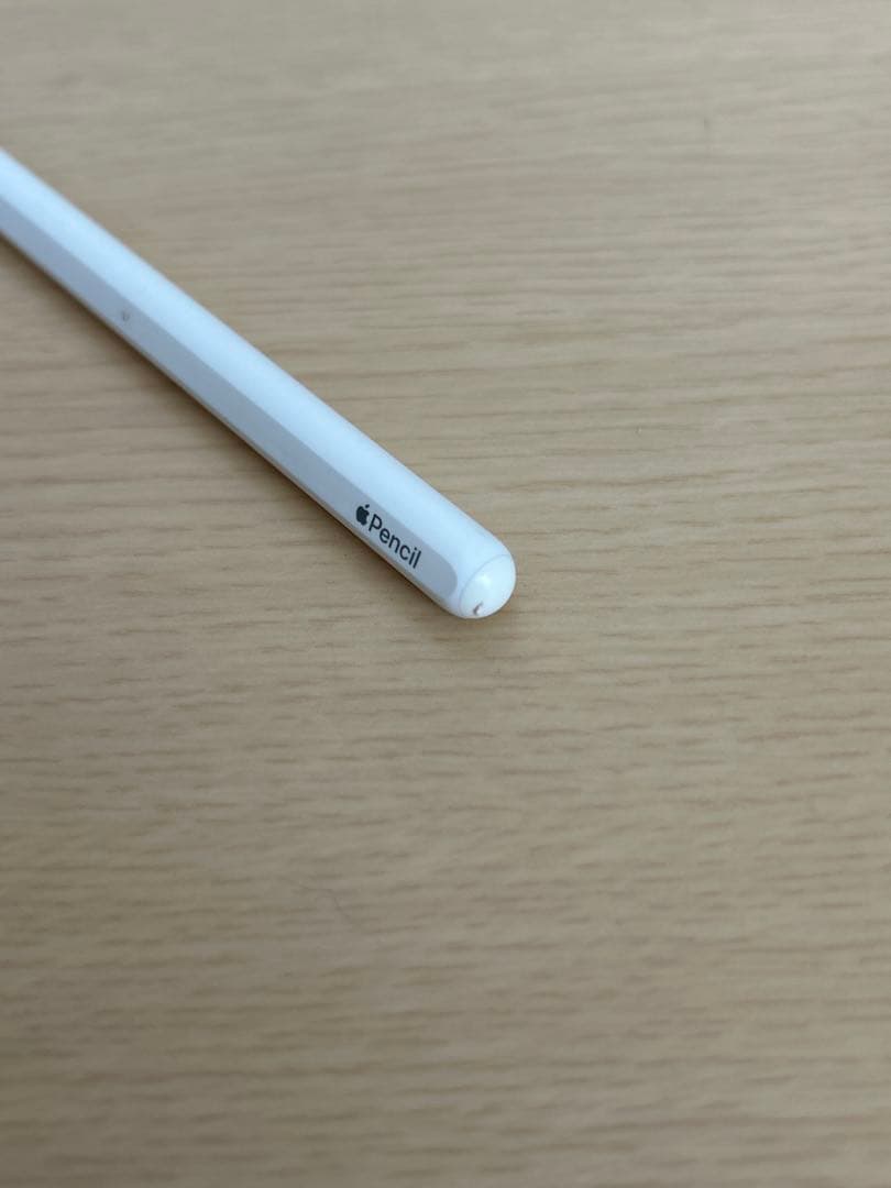 iPad Pro （第2世代 11インチ）Apple Pencil（第2世代）