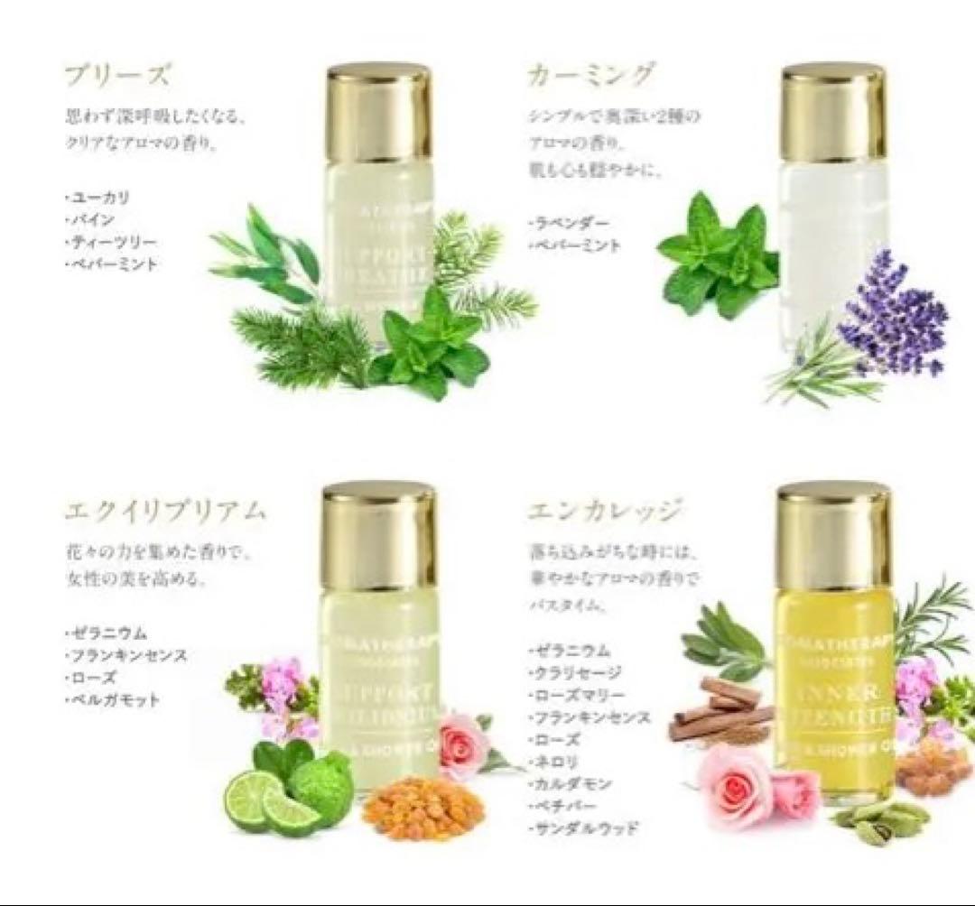 アロマセラピーアソシエイツ ミニチュアバスオイルコレクションN 3ml×10種