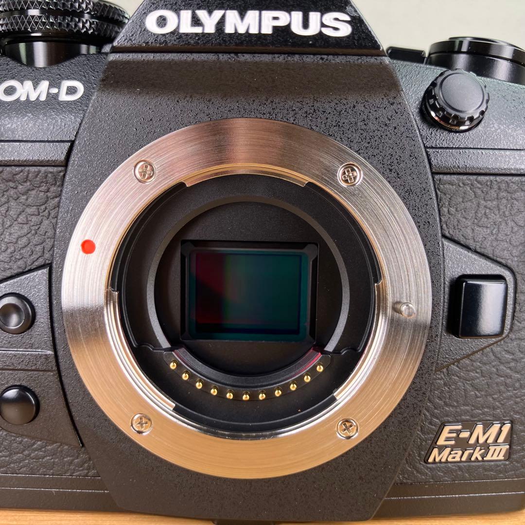【ショット数5052回】OLYMPUS OM-D E-M1 Mark III 黒